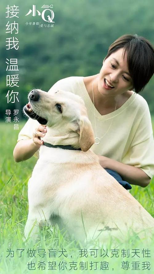 美国签证真实样板